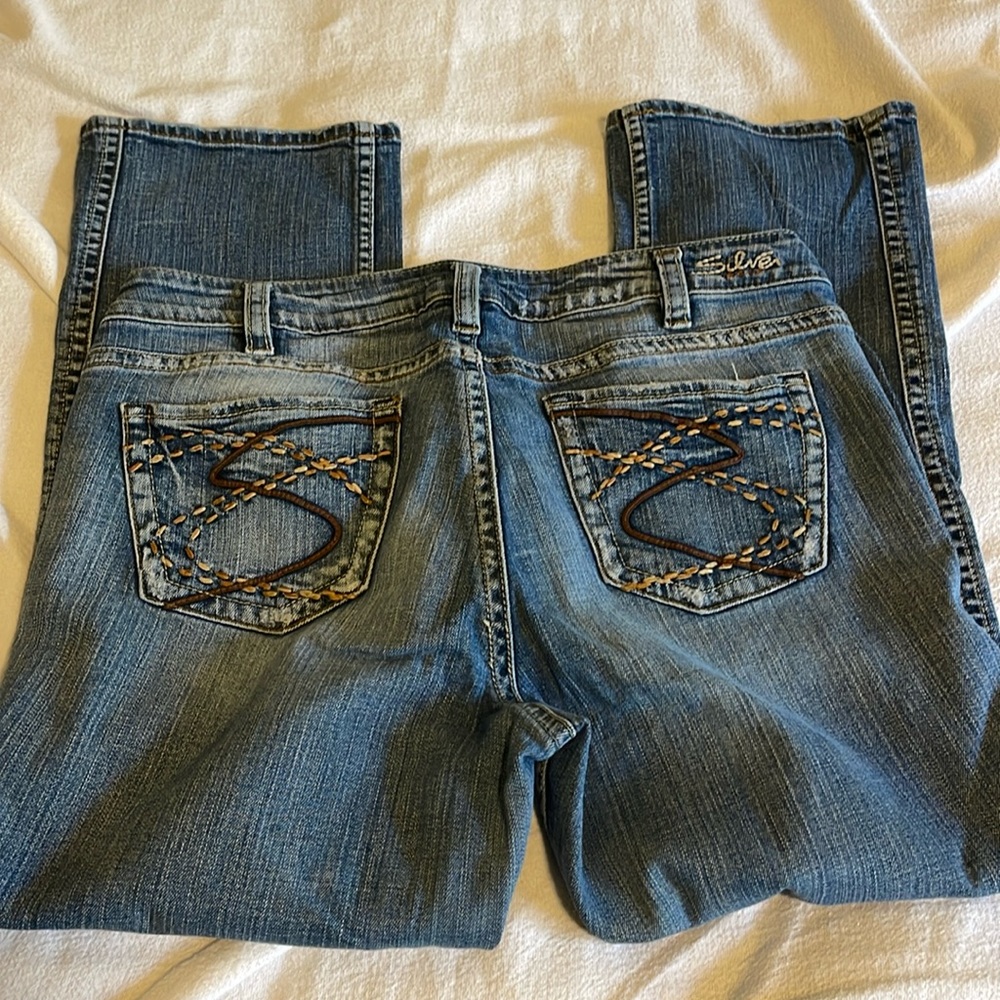 Silver Frances Capri size 14